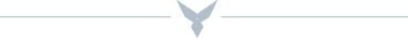 signature-hawk-divider-black
